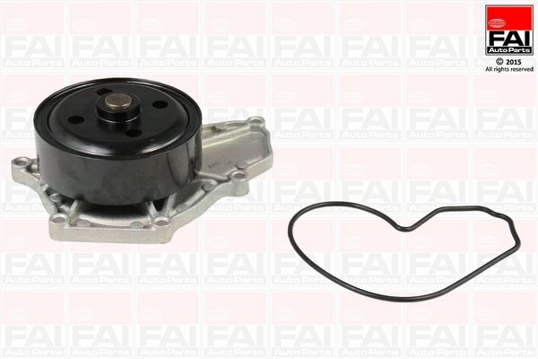 FAI AUTOPARTS Ūdenssūknis WP6571